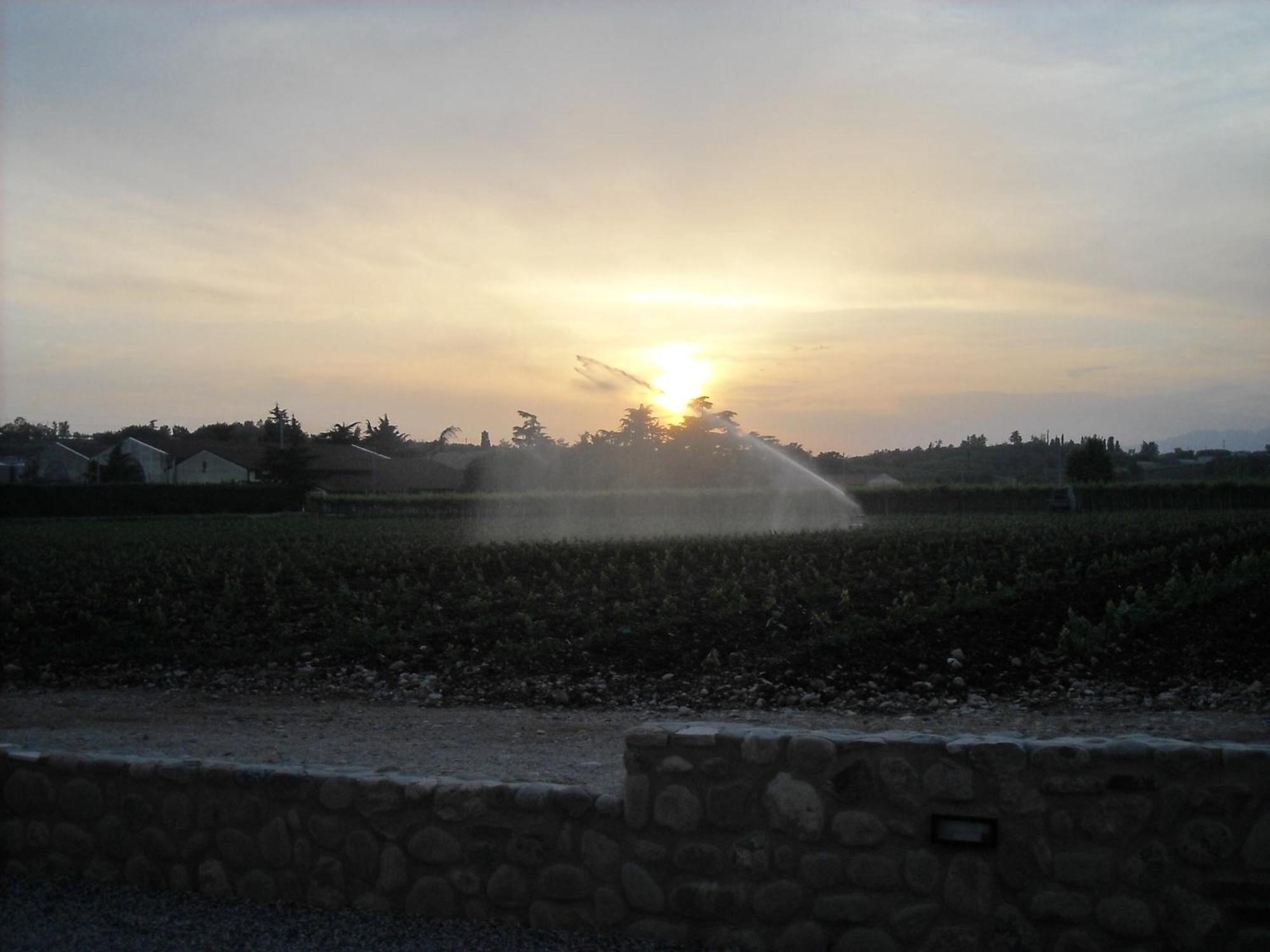 Agriturismo Le Campagnole Bardolino Luaran gambar